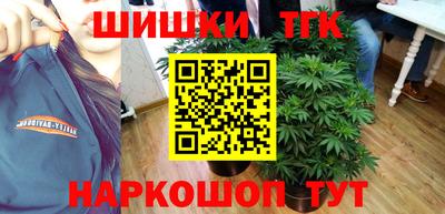 шишки Моздок