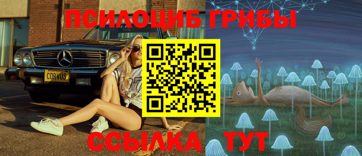 Чебоксары  Псилоцибиновые грибы Cubensis  Вход с VPN 